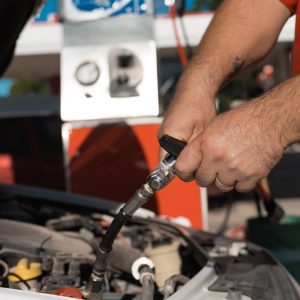 Melina Gottig - Puma_Crespo-22