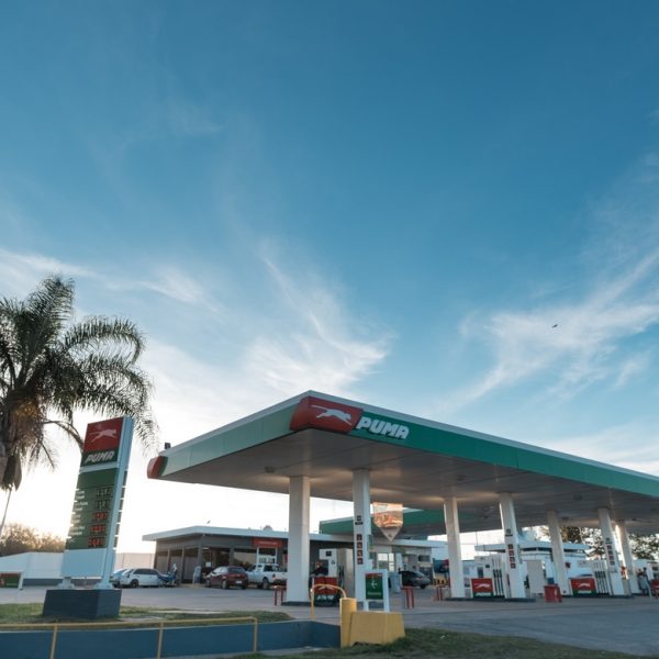 Melina Gottig – Puma_Diamante-3 Melina Gottig - Puma_Diamante-3