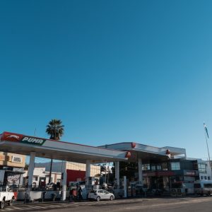 Melina Gottig - Puma_Parana-2