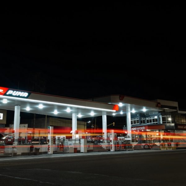 Melina Gottig – Puma_Parana-68 Melina Gottig - Puma_Parana-68