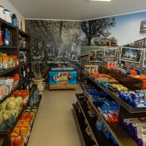 Melina Gottig - Puma_Ram-42