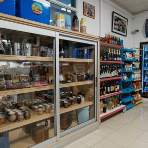 Melina Gottig - Puma_vic-24